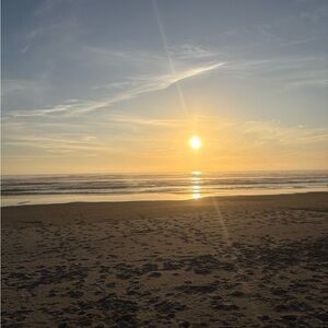 Meet your Posher, Elvin